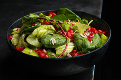 سالاد گاردن